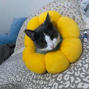 Meet your Posher, Vivian